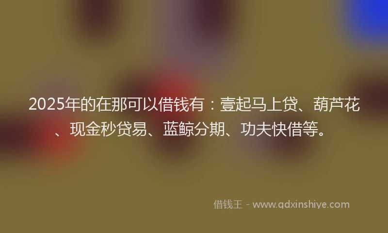 2025年的在那可以借钱有：壹起马上贷、葫芦花、现金秒贷易、蓝鲸分期、功夫快借等。