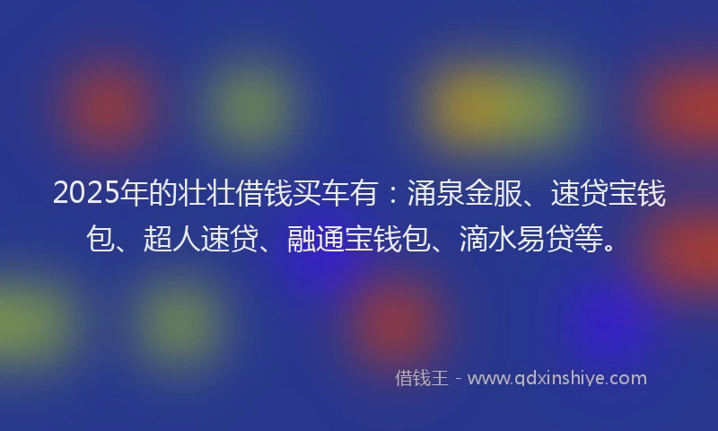 2025年的壮壮借钱买车有：涌泉金服、速贷宝钱包、超人速贷、融通宝钱包、滴水易贷等。