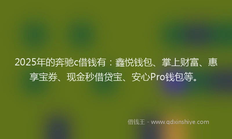 2025年的奔驰c借钱有：鑫悦钱包、掌上财富、惠享宝券、现金秒借贷宝、安心Pro钱包等。