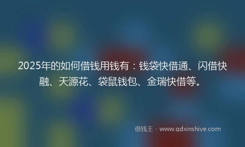 2025年的如何借钱用钱有：钱袋快借通、闪借快融、天源花、袋鼠钱包、金瑞快借等。