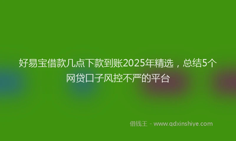 好易宝借款几点下款到账2025年精选，总结5个网贷口子风控不严的平台
