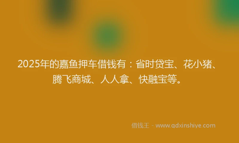 2025年的嘉鱼押车借钱有：省时贷宝、花小猪、腾飞商城、人人拿、快融宝等。