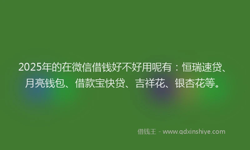 2025年的在微信借钱好不好用呢有：恒瑞速贷、月亮钱包、借款宝快贷、吉祥花、银杏花等。
