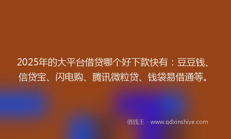 2025年的大平台借贷哪个好下款快有：豆豆钱、信贷宝、闪电购、腾讯微粒贷、钱袋易借通等。