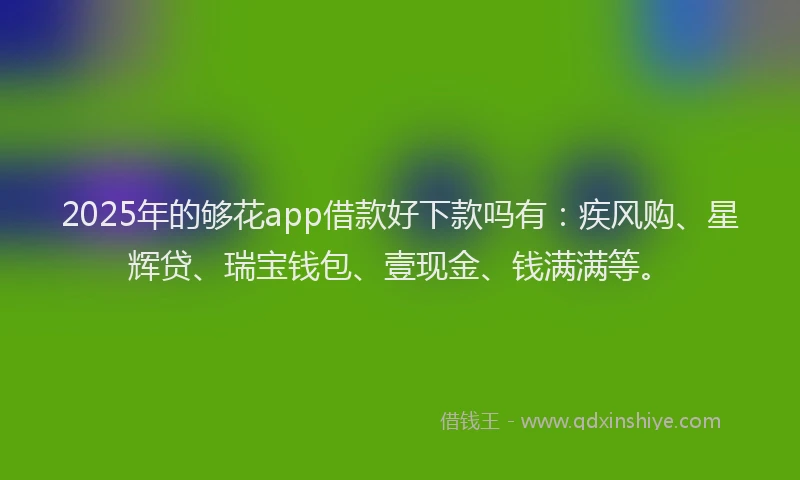 2025年的够花app借款好下款吗有：疾风购、星辉贷、瑞宝钱包、壹现金、钱满满等。