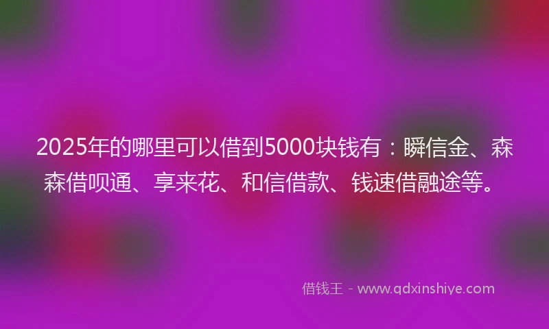 2025年的哪里可以借到5000块钱有：瞬信金、森森借呗通、享来花、和信借款、钱速借融途等。