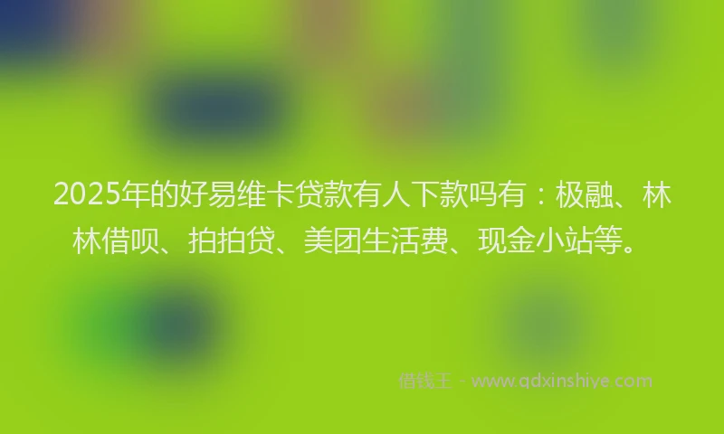 2025年的好易维卡贷款有人下款吗有：极融、林林借呗、拍拍贷、美团生活费、现金小站等。