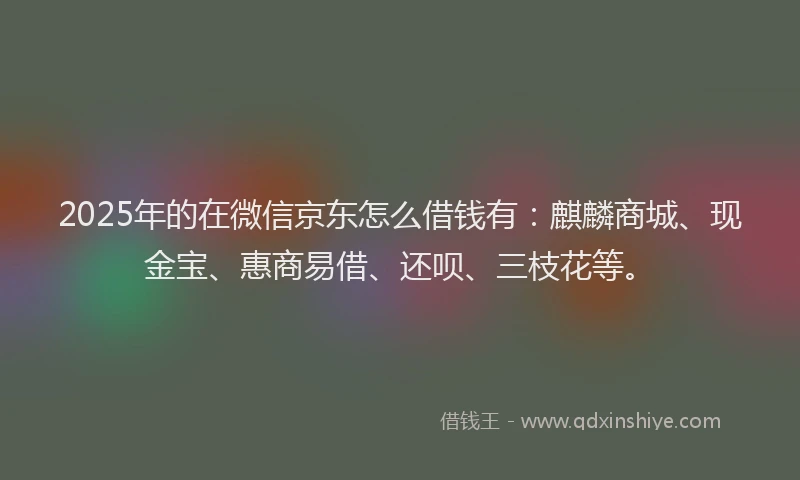 2025年的在微信京东怎么借钱有：麒麟商城、现金宝、惠商易借、还呗、三枝花等。