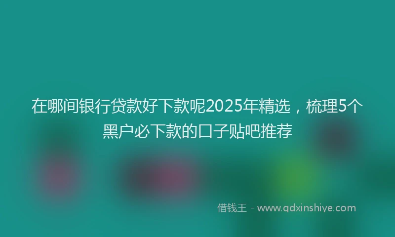在哪间银行贷款好下款呢2025年精选，梳理5个黑户必下款的口子贴吧推荐
