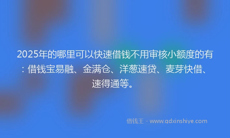 2025年的哪里可以快速借钱不用审核小额度的有：借钱宝易融、金满仓、洋葱速贷、麦芽快借、速得通等。