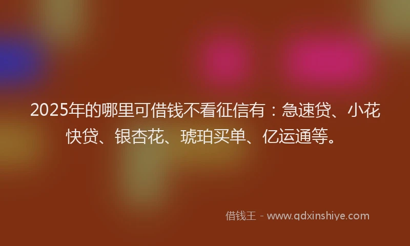 2025年的哪里可借钱不看征信有：急速贷、小花快贷、银杏花、琥珀买单、亿运通等。