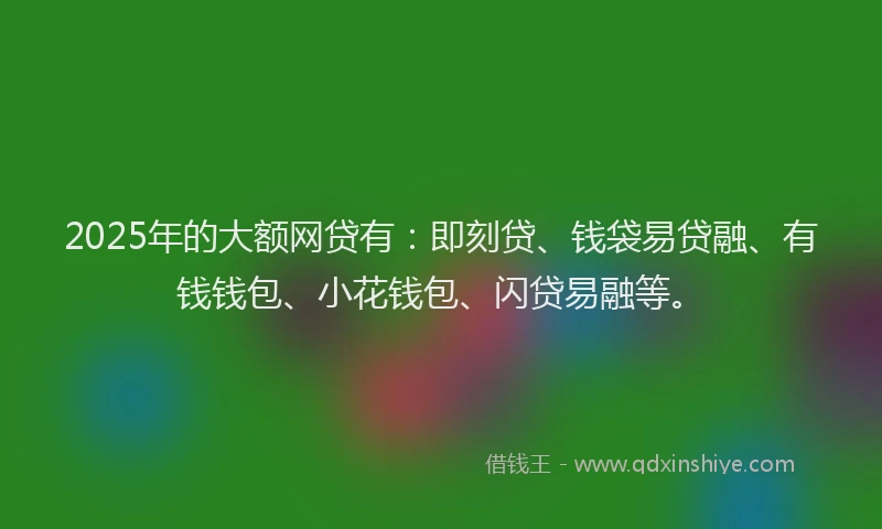 2025年的大额网贷有：即刻贷、钱袋易贷融、有钱钱包、小花钱包、闪贷易融等。