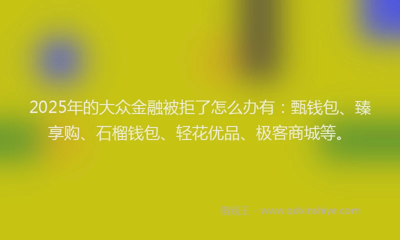 2025年的大众金融被拒了怎么办有：甄钱包、臻享购、石榴钱包、轻花优品、极客商城等。