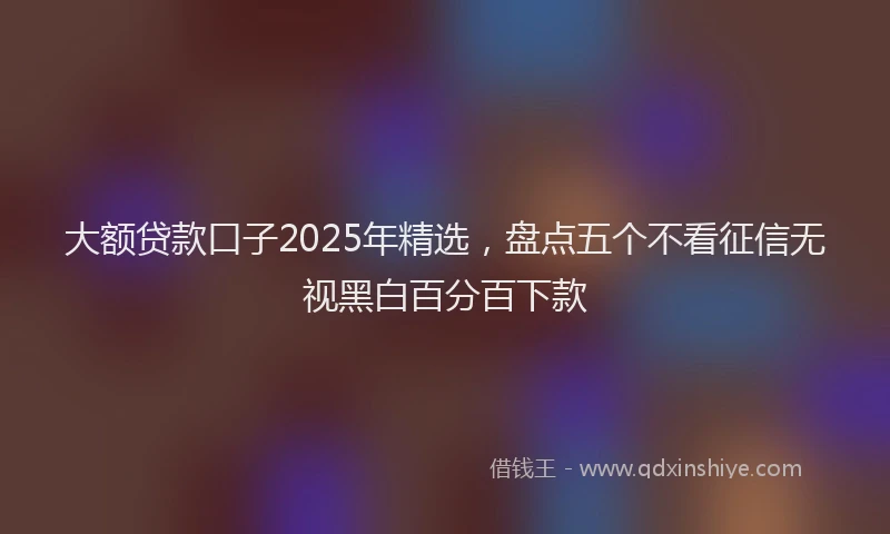大额贷款口子2025年精选，盘点五个不看征信无视黑白百分百下款