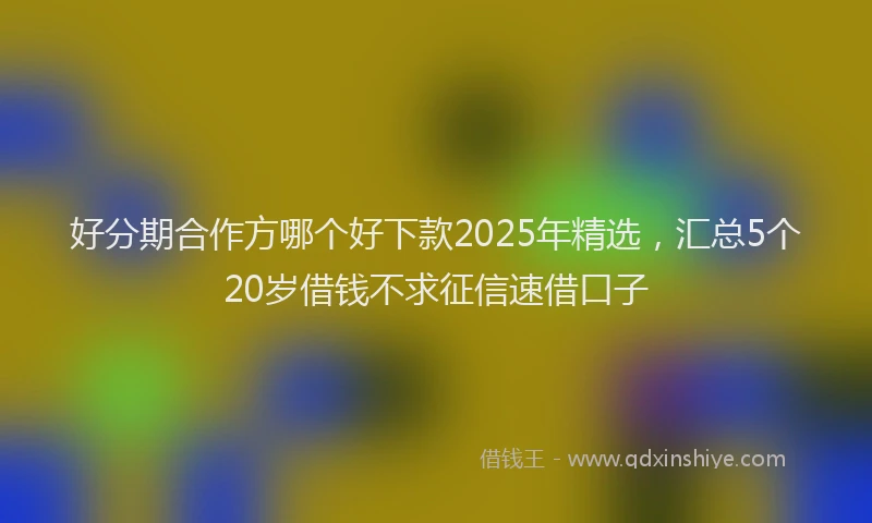 好分期合作方哪个好下款2025年精选，汇总5个20岁借钱不求征信速借口子