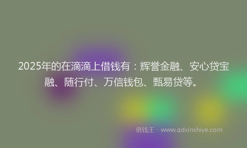 2025年的在滴滴上借钱有：辉誉金融、安心贷宝融、随行付、万信钱包、甄易贷等。