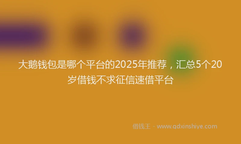 大鹅钱包是哪个平台的2025年推荐，汇总5个20岁借钱不求征信速借平台