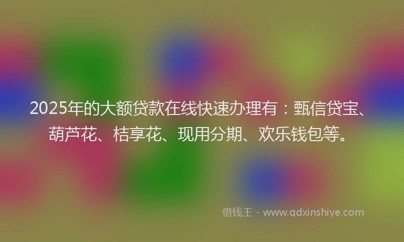 2025年的大额贷款在线快速办理有：甄信贷宝、葫芦花、桔享花、现用分期、欢乐钱包等。