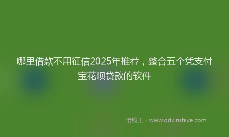 哪里借款不用征信2025年推荐，整合五个凭支付宝花呗贷款的软件
