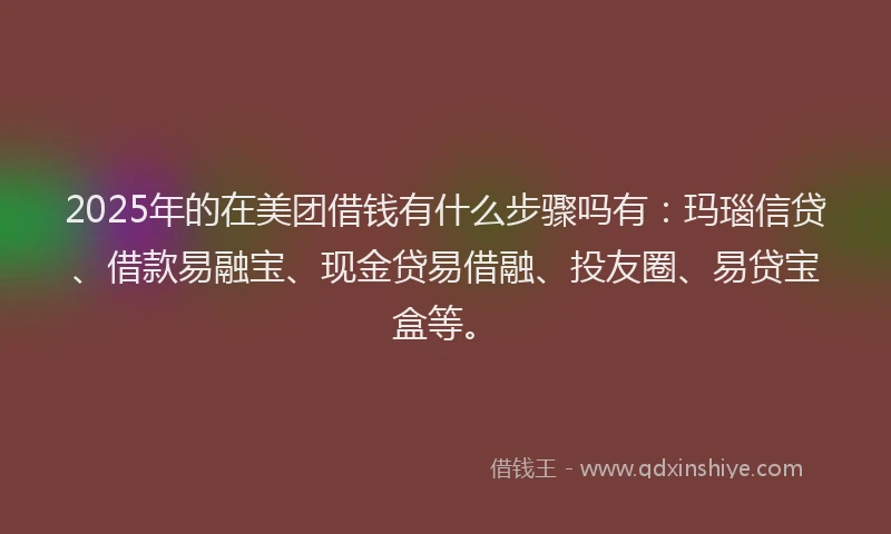 2025年的在美团借钱有什么步骤吗有：玛瑙信贷、借款易融宝、现金贷易借融、投友圈、易贷宝盒等。