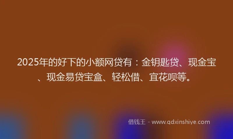 2025年的好下的小额网贷有：金钥匙贷、现金宝、现金易贷宝盒、轻松借、宜花呗等。