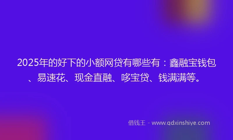 2025年的好下的小额网贷有哪些有：鑫融宝钱包、易速花、现金直融、哆宝贷、钱满满等。