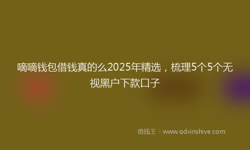 嘀嘀钱包借钱真的么2025年精选，梳理5个5个无视黑户下款口子