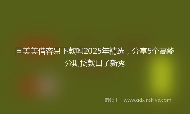 国美美借容易下款吗2025年精选，分享5个高能分期贷款口子新秀