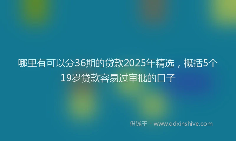 哪里有可以分36期的贷款2025年精选，概括5个19岁贷款容易过审批的口子