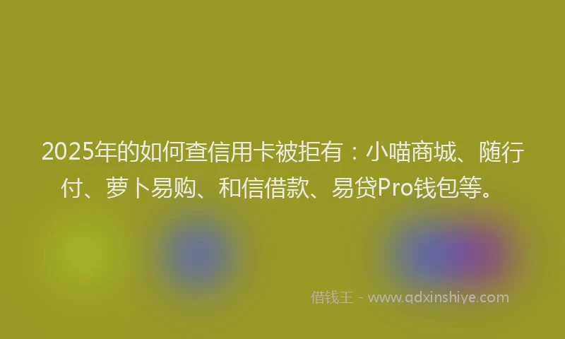 2025年的如何查信用卡被拒有：小喵商城、随行付、萝卜易购、和信借款、易贷Pro钱包等。