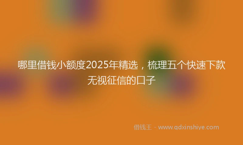 哪里借钱小额度2025年精选，梳理五个快速下款无视征信的口子