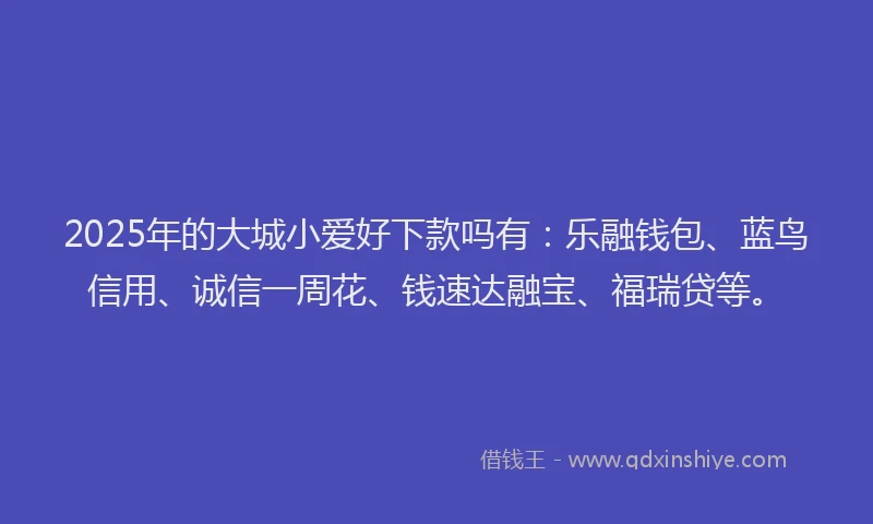 2025年的大城小爱好下款吗有：乐融钱包、蓝鸟信用、诚信一周花、钱速达融宝、福瑞贷等。