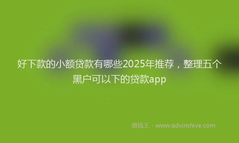 好下款的小额贷款有哪些2025年推荐，整理五个黑户可以下的贷款app