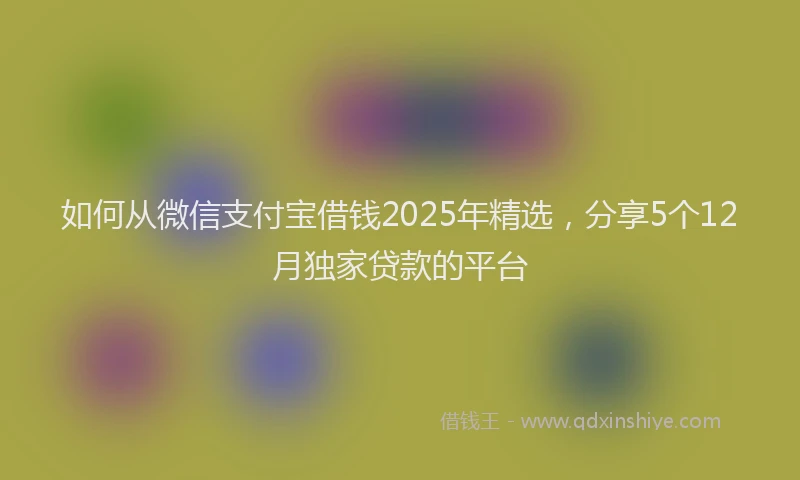 如何从微信支付宝借钱2025年精选，分享5个12月独家贷款的平台