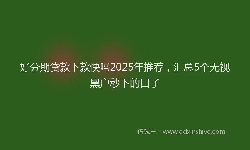 好分期贷款下款快吗2025年推荐，汇总5个无视黑户秒下的口子