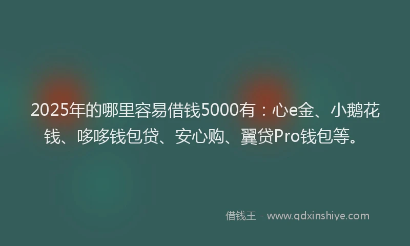 2025年的哪里容易借钱5000有：心e金、小鹅花钱、哆哆钱包贷、安心购、翼贷Pro钱包等。