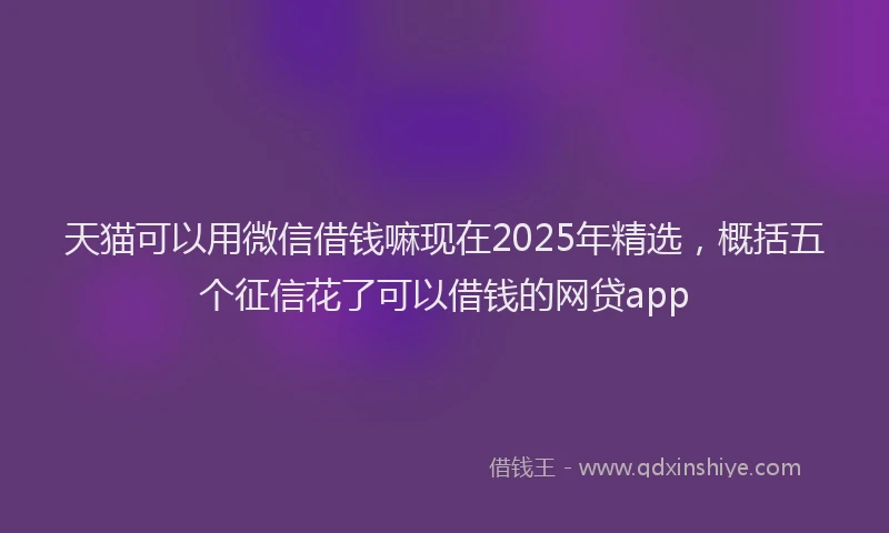 天猫可以用微信借钱嘛现在2025年精选，概括五个征信花了可以借钱的网贷app