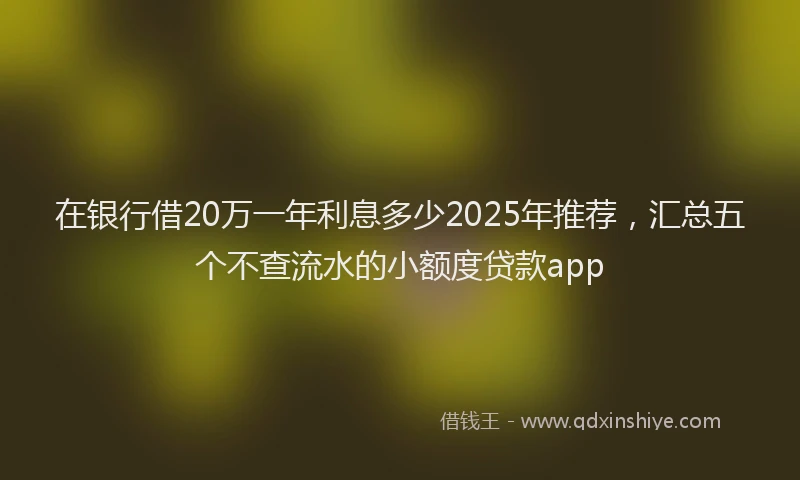 在银行借20万一年利息多少2025年推荐，汇总五个不查流水的小额度贷款app