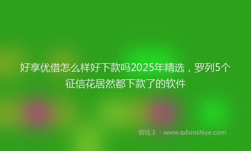 好享优借怎么样好下款吗2025年精选，罗列5个征信花居然都下款了的软件