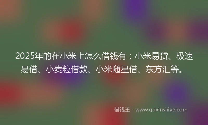 2025年的在小米上怎么借钱有：小米易贷、极速易借、小麦粒借款、小米随星借、东方汇等。