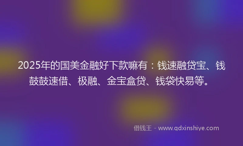 2025年的国美金融好下款嘛有：钱速融贷宝、钱鼓鼓速借、极融、金宝盒贷、钱袋快易等。
