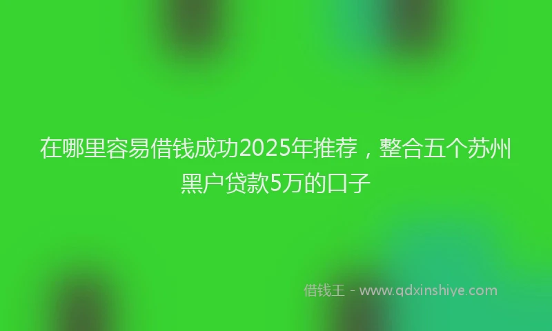 在哪里容易借钱成功2025年推荐，整合五个苏州黑户贷款5万的口子