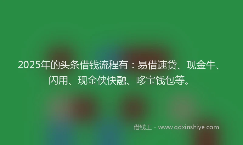 2025年的头条借钱流程有：易借速贷、现金牛、闪用、现金侠快融、哆宝钱包等。