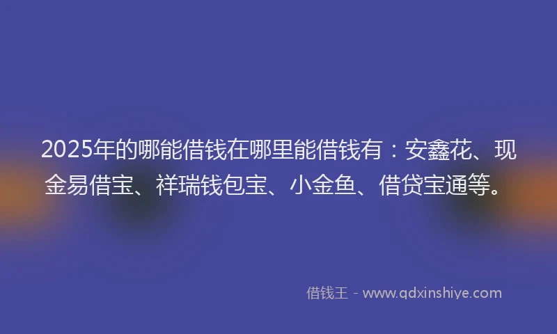 2025年的哪能借钱在哪里能借钱有：安鑫花、现金易借宝、祥瑞钱包宝、小金鱼、借贷宝通等。