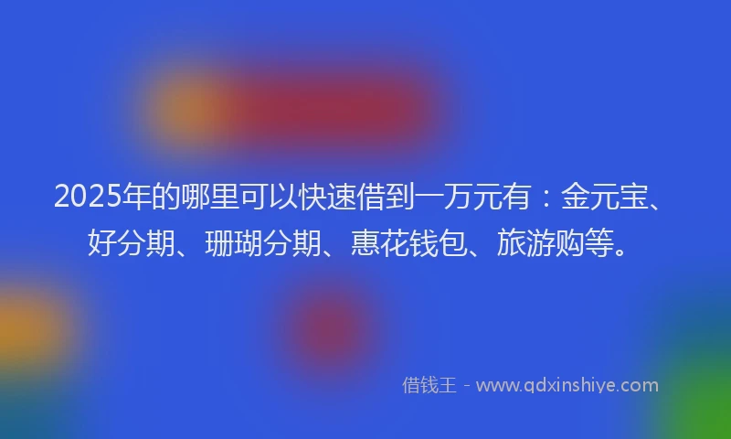 2025年的哪里可以快速借到一万元有：金元宝、好分期、珊瑚分期、惠花钱包、旅游购等。