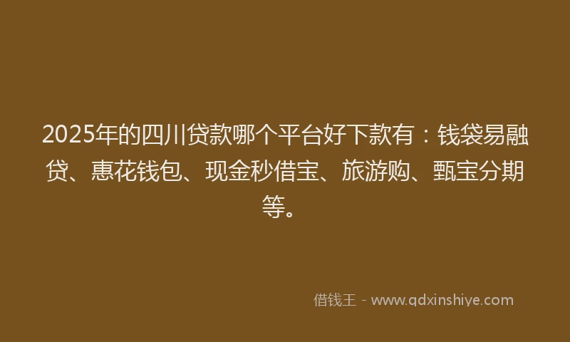 2025年的四川贷款哪个平台好下款有：钱袋易融贷、惠花钱包、现金秒借宝、旅游购、甄宝分期等。