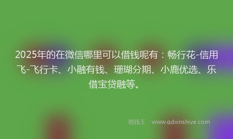 2025年的在微信哪里可以借钱呢有：畅行花-信用飞-飞行卡、小融有钱、珊瑚分期、小鹿优选、乐借宝贷融等。