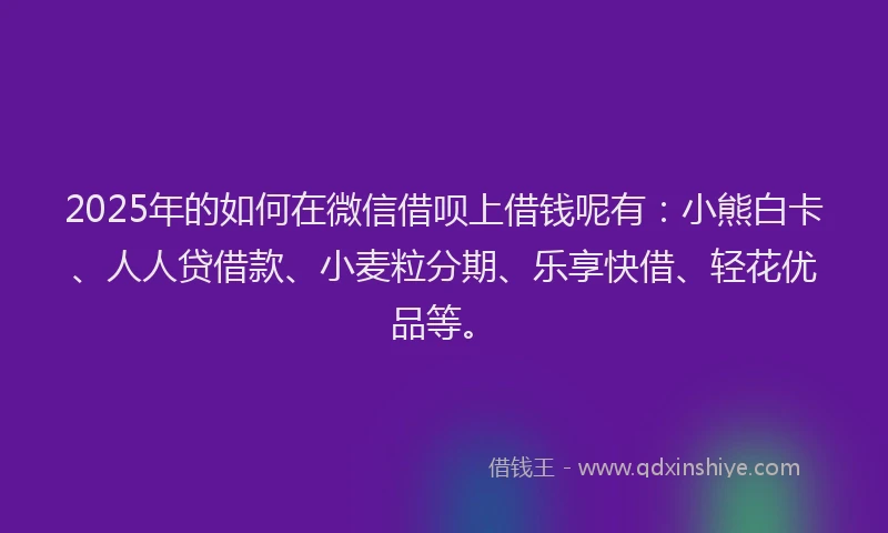 2025年的如何在微信借呗上借钱呢有：小熊白卡、人人贷借款、小麦粒分期、乐享快借、轻花优品等。