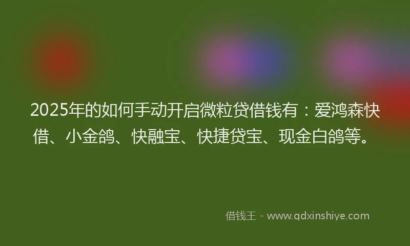 2025年的如何手动开启微粒贷借钱有：爱鸿森快借、小金鸽、快融宝、快捷贷宝、现金白鸽等。