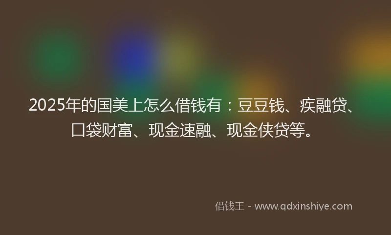 2025年的国美上怎么借钱有：豆豆钱、疾融贷、口袋财富、现金速融、现金侠贷等。